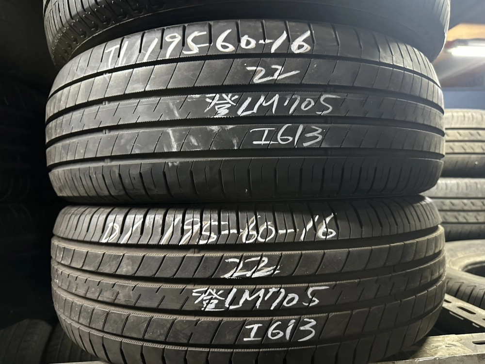 登錄普LM705 二條 195-60-16
