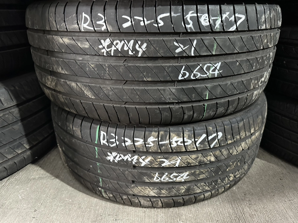 米其林PM4 二條 225-50-17