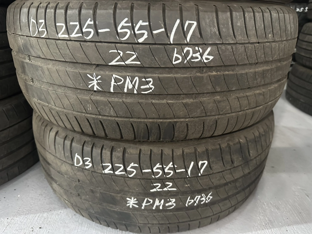 米其林PM3 二條 225-55-17