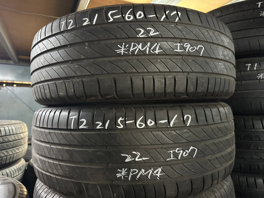 米其林PM4 二條 215-60-17