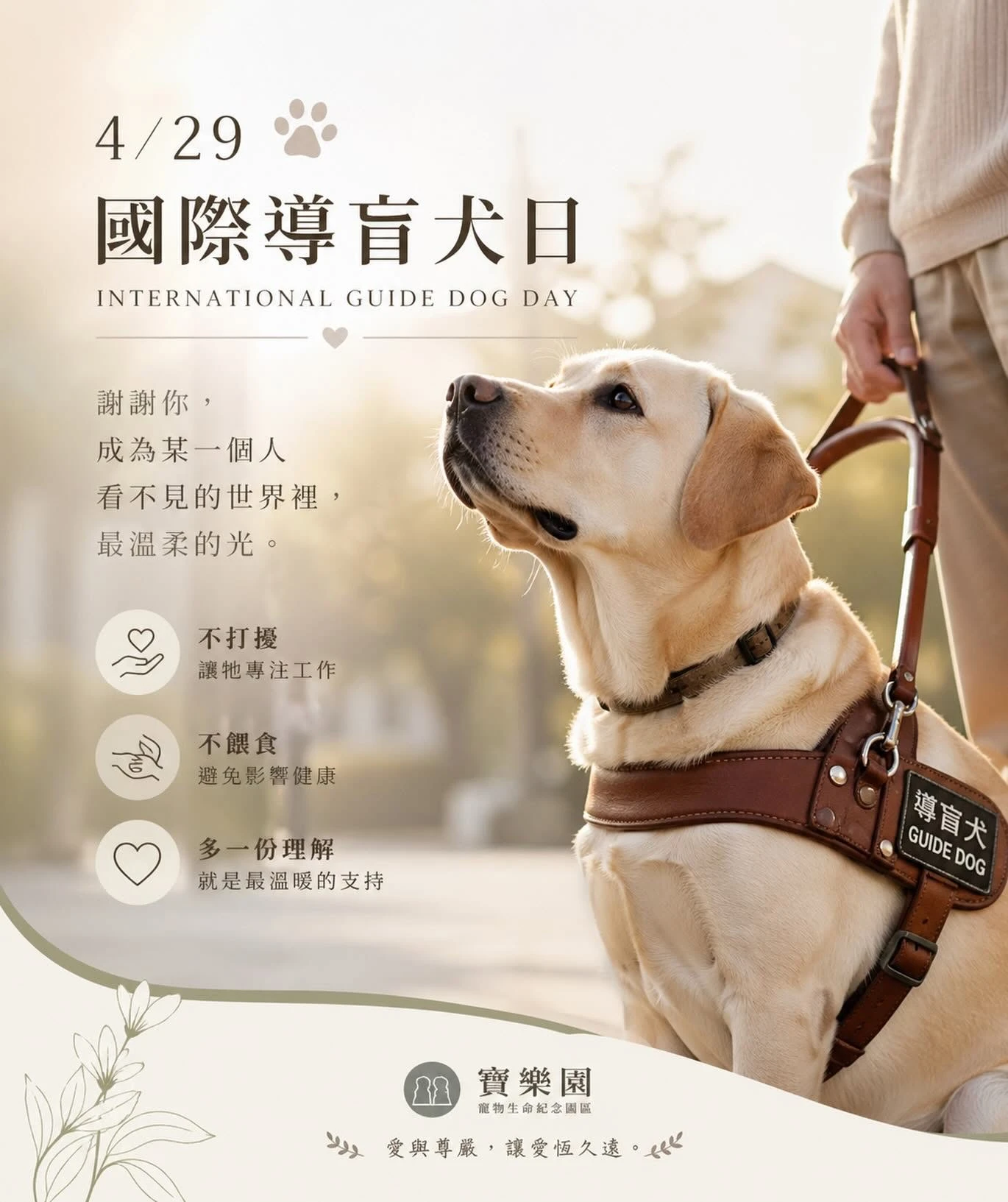 4/29 國際導盲犬日