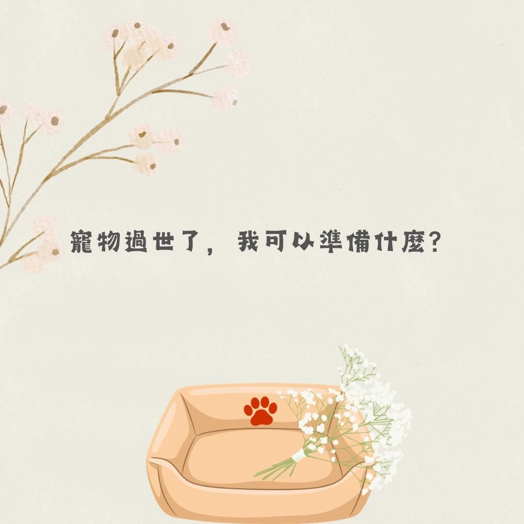 毛孩離開了我可以怎麼做？