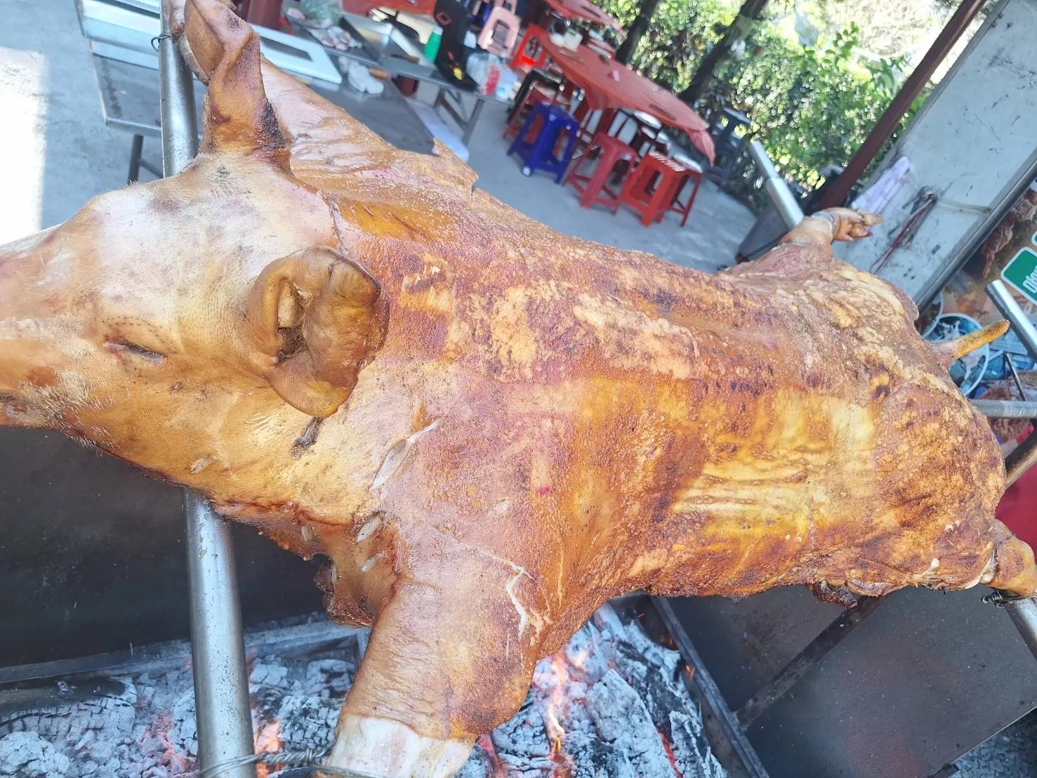 南投武界伯特利莊園