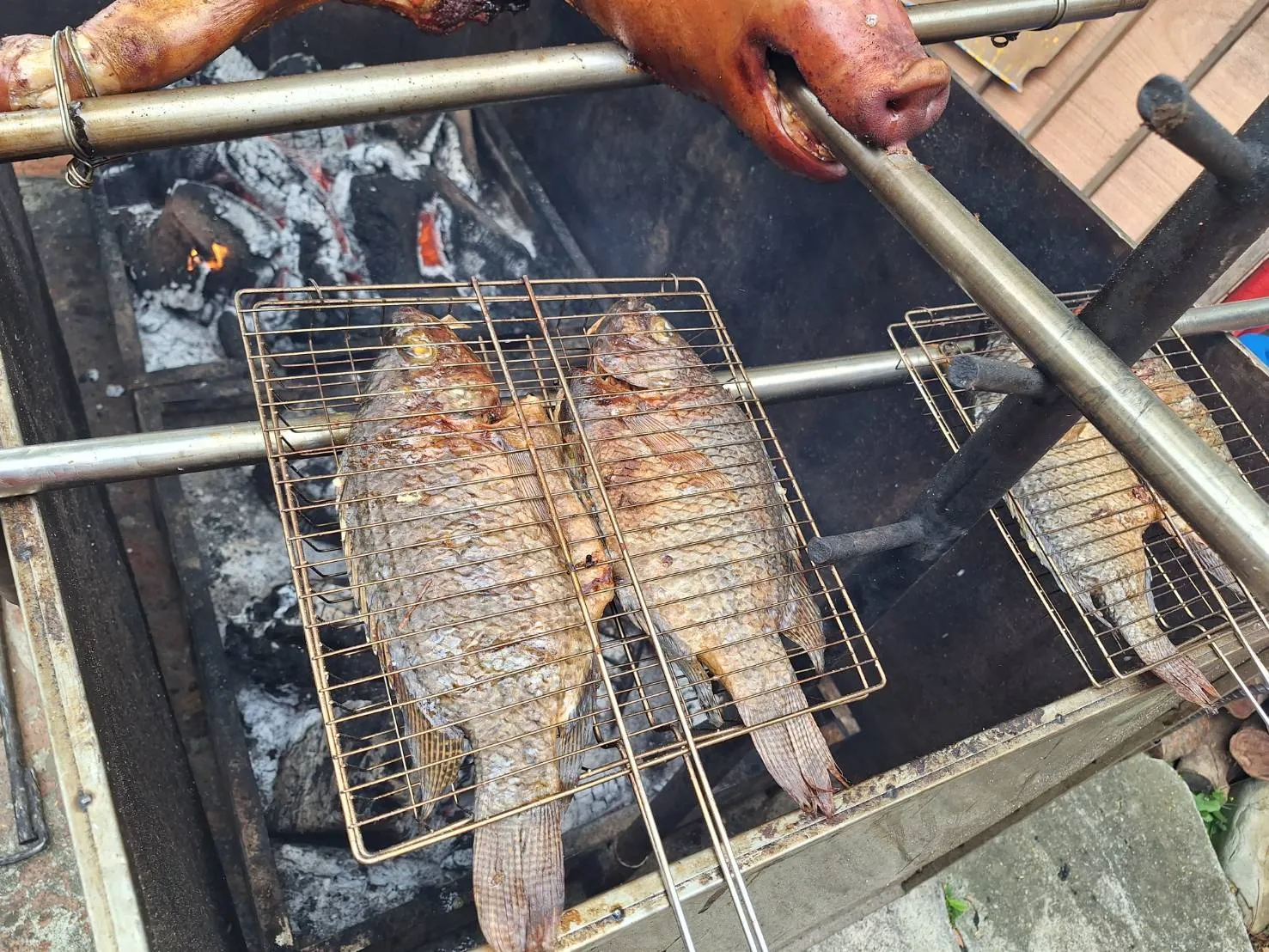 炭火烤鮮魚