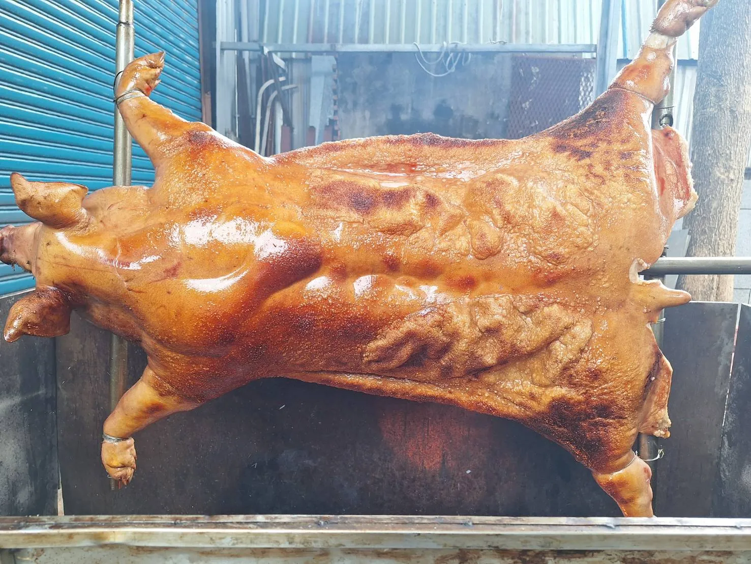 信望愛臍帶血基金會