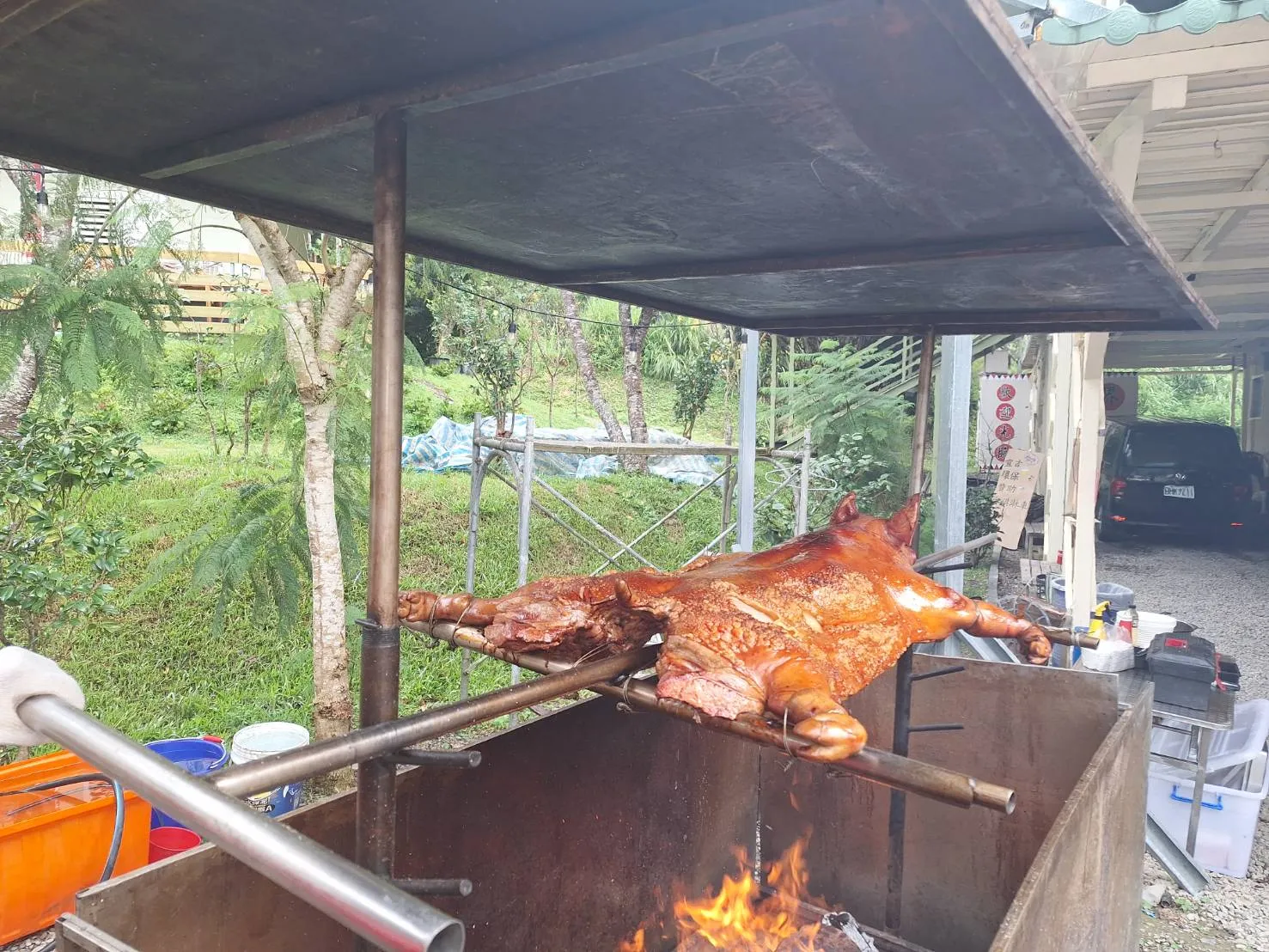 武界茶花香民宿