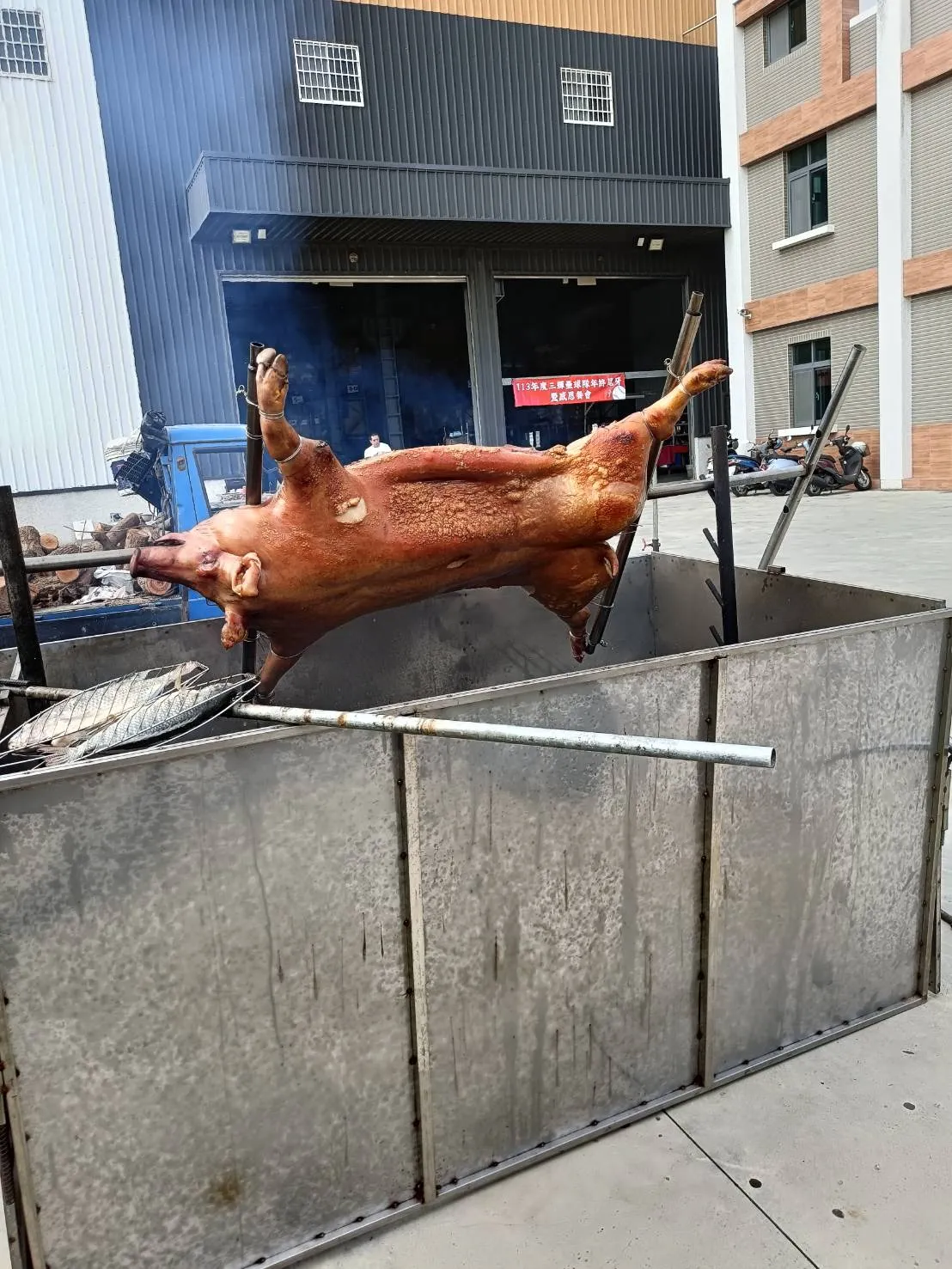 烤大豬 