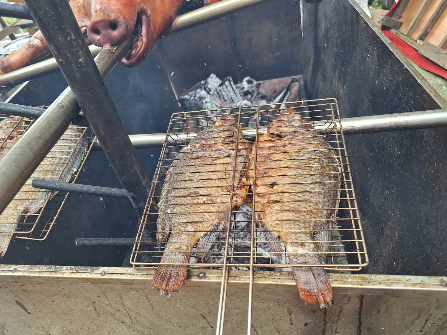 炭火烤鮮魚