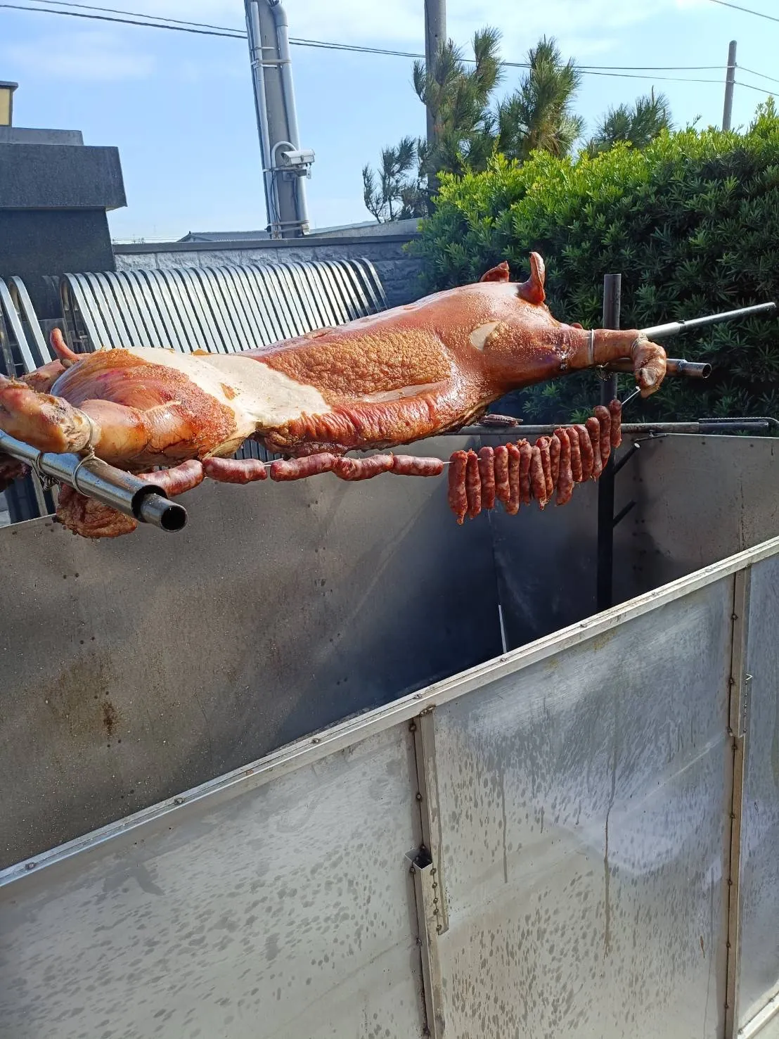 烤大豬 