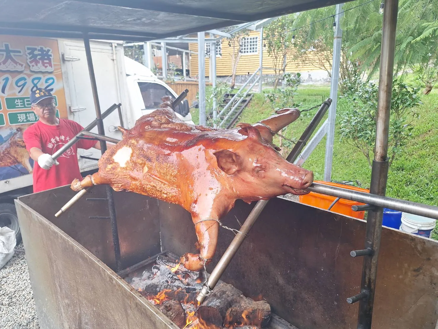 武界茶花香民宿