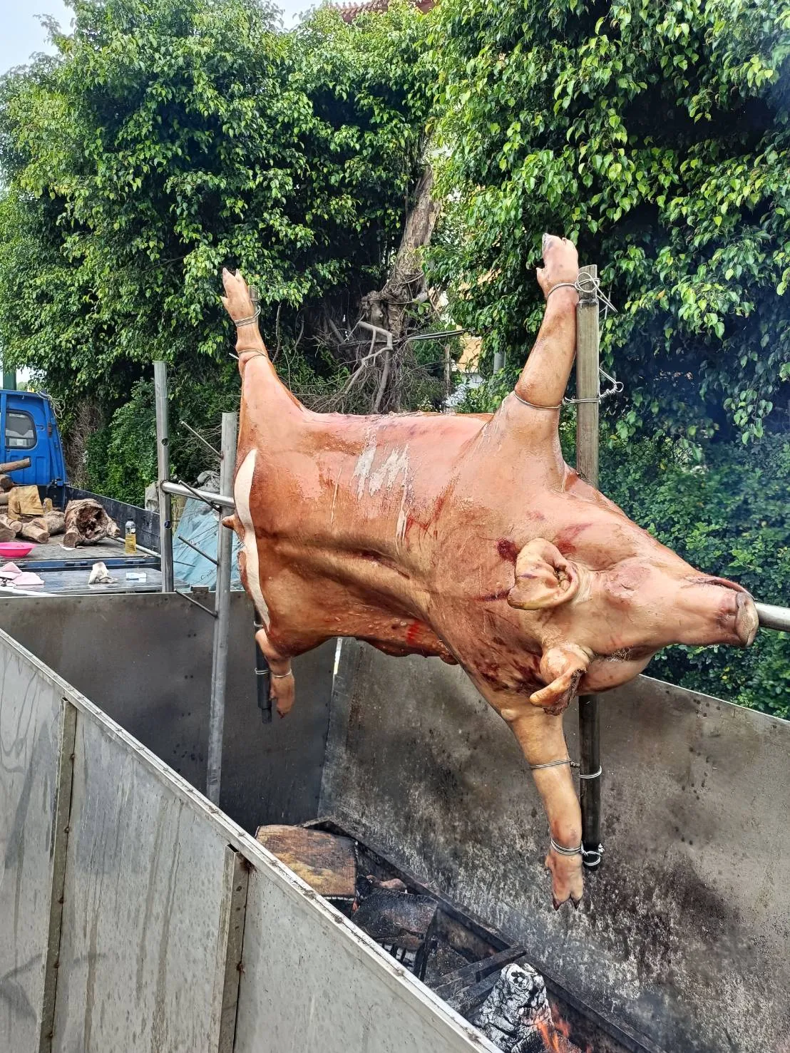 團體訂購烤大豬