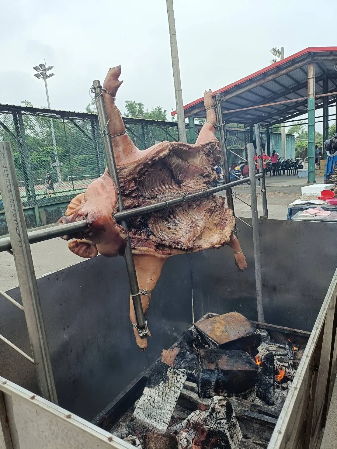 團體訂購烤大豬