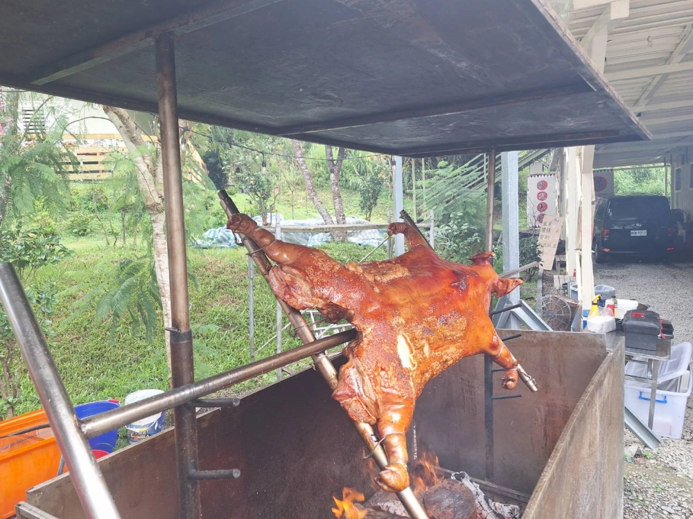 武界茶花香民宿