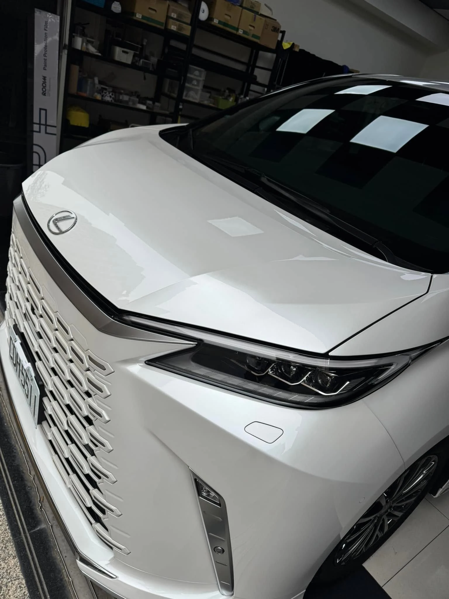 LEXUS LM500h新車落地全車KSG TPU透明犀牛皮保護膜施工+KSG前擋風玻璃保護膜
