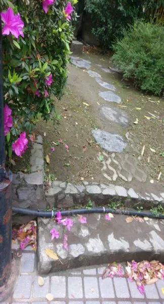 特殊搬遷-園藝搬遷