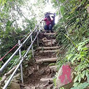 上山下海