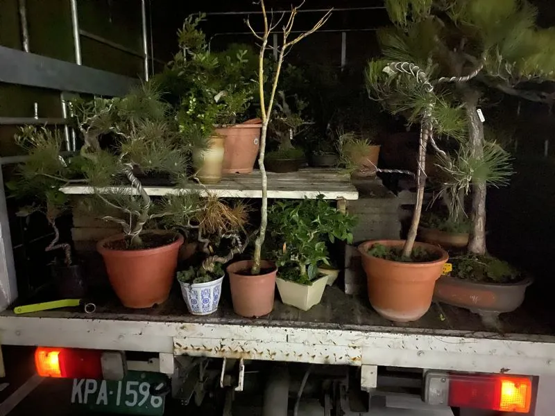 園藝花圃搬遷