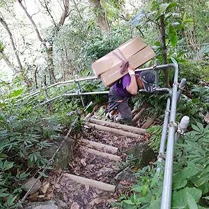上山下海