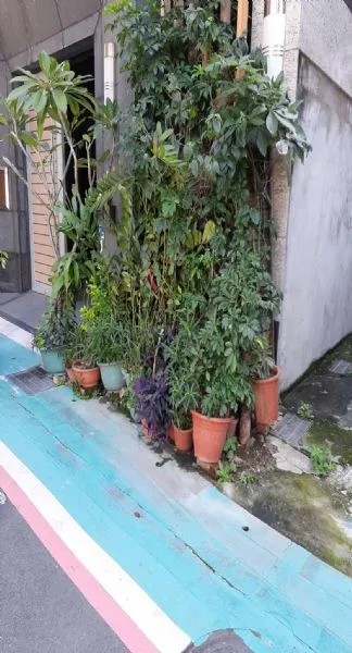 園藝花圃搬遷