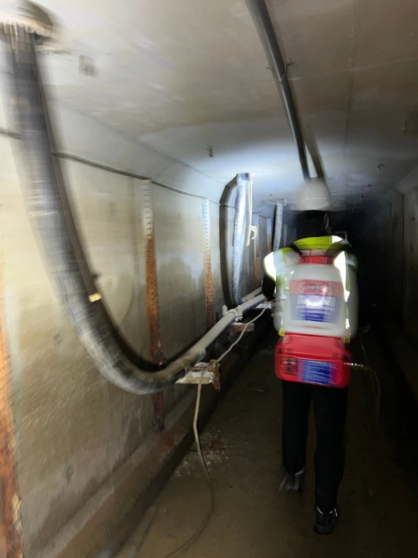 白蟻防治-電力公司地下電纜地道施作案例|除白蟻、除白蟻公司推薦、桃園除蟲公司