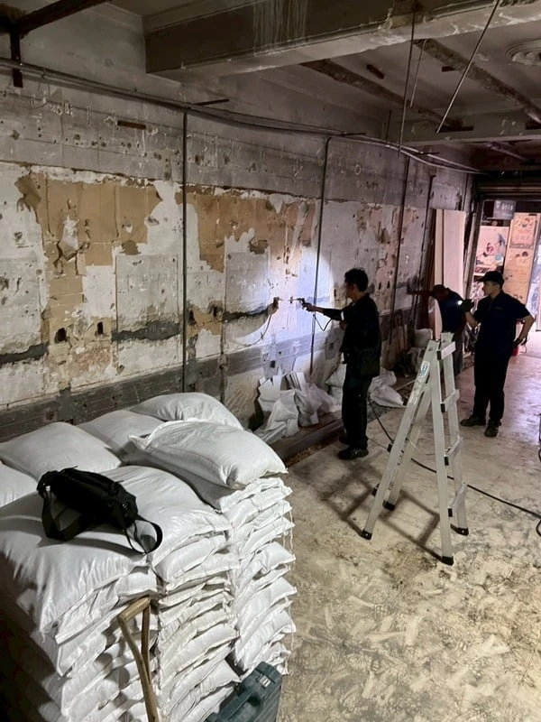 桃園老屋除蟲-白蟻防治 | 除白蟻公司、桃園除白蟻、北部專業除白蟻公司