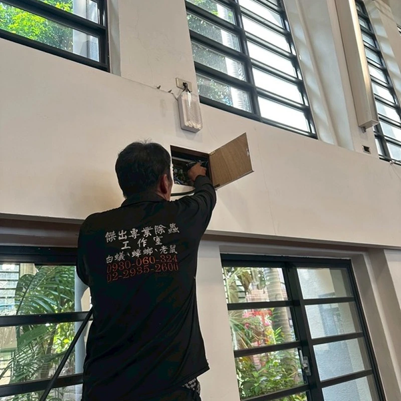 【白蟻防治】基督教大教堂 | 台中除白蟻、苗栗白蟻防治推薦、中部專業除白蟻公司