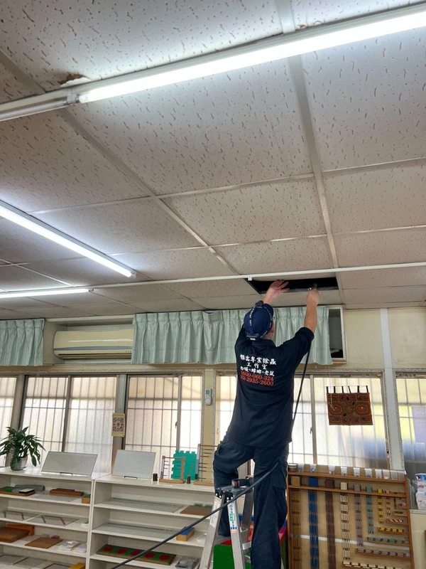竹北慈暉幼兒園消毒-白蟻防治 | 竹北除白蟻公司推薦、新竹除白蟻、新竹專業除白蟻公司