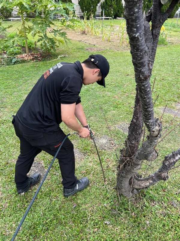 竹北慈暉幼兒園消毒-白蟻防治 | 竹北除白蟻公司推薦、新竹除白蟻、新竹專業除白蟻公司
