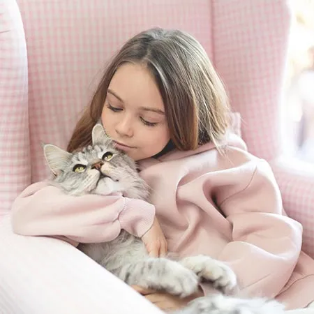 貓咪不吃飯怎麼辦？