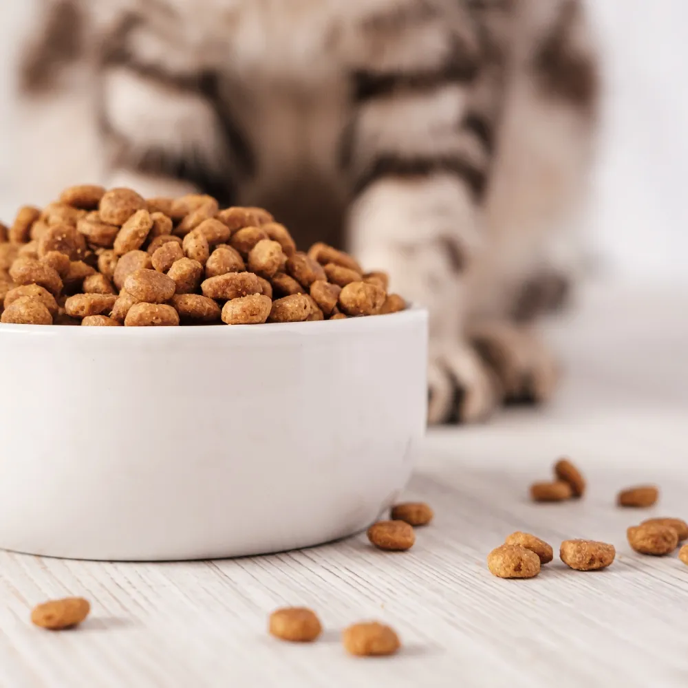 寵物飼料