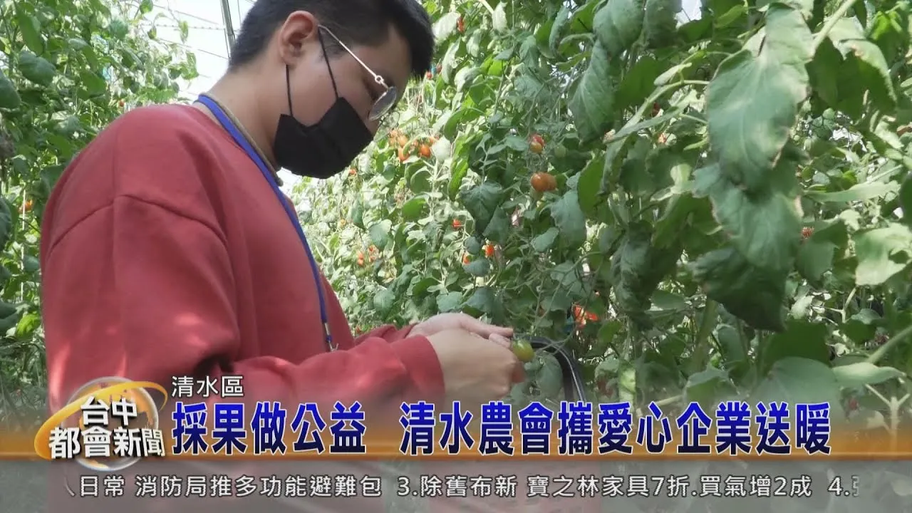 台中清水大洧農園，愛心捐款暨物資募集活動暨身心障礙一日採果樂