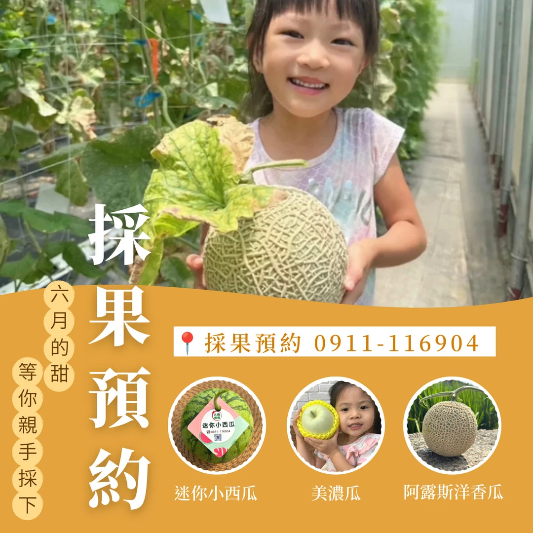 大洧農園｜六月採果 開放預約中