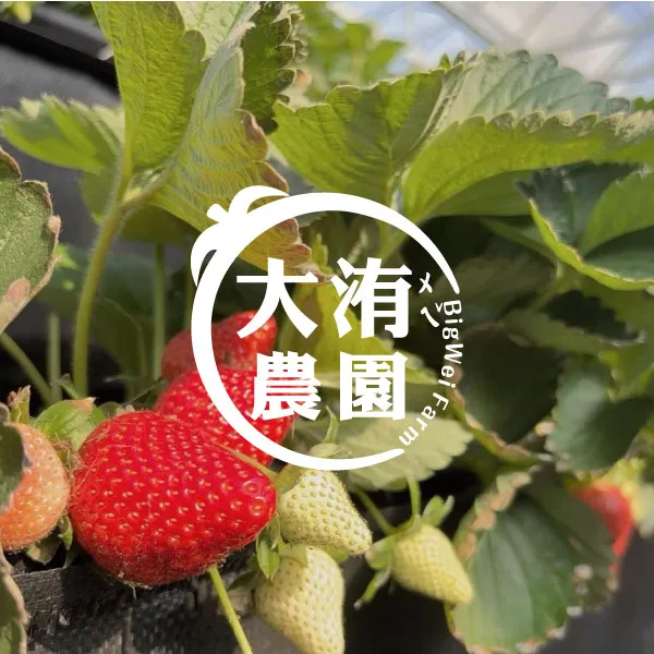 網站建置中