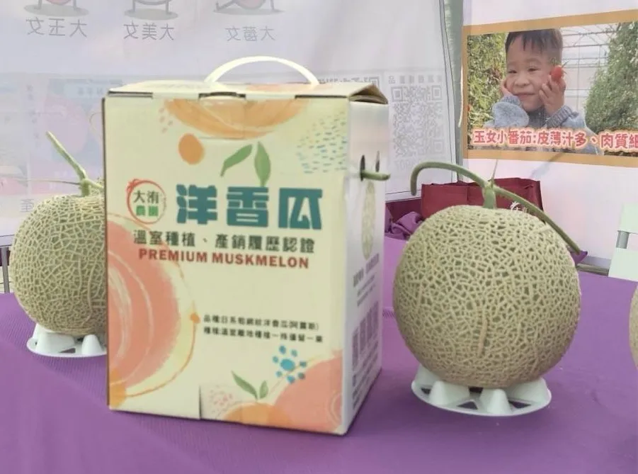 洋香瓜