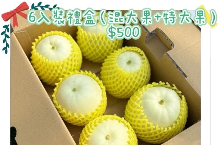 美濃瓜