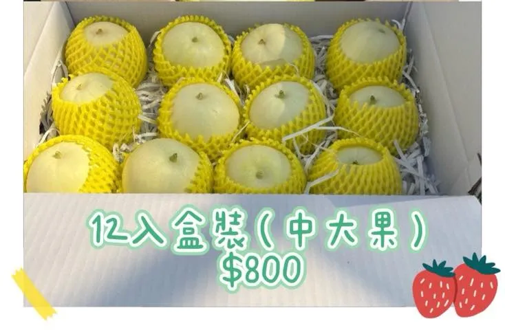 美濃瓜