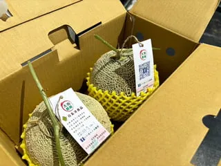 洋香瓜