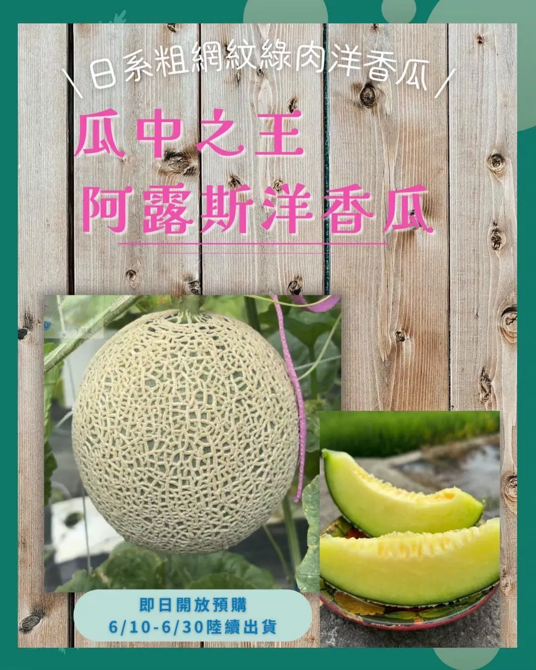 洋香瓜