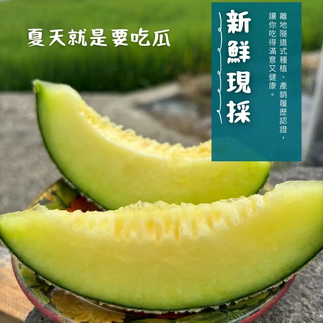 洋香瓜