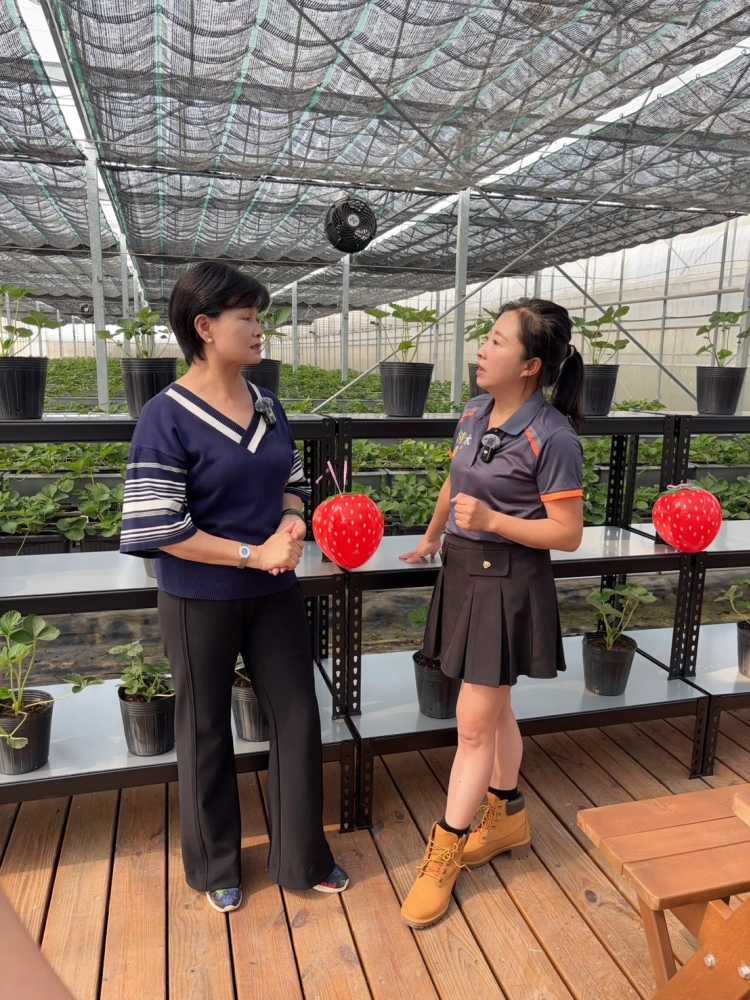 團體機關參訪｜台中觀光果園推薦｜清水觀光果園推薦