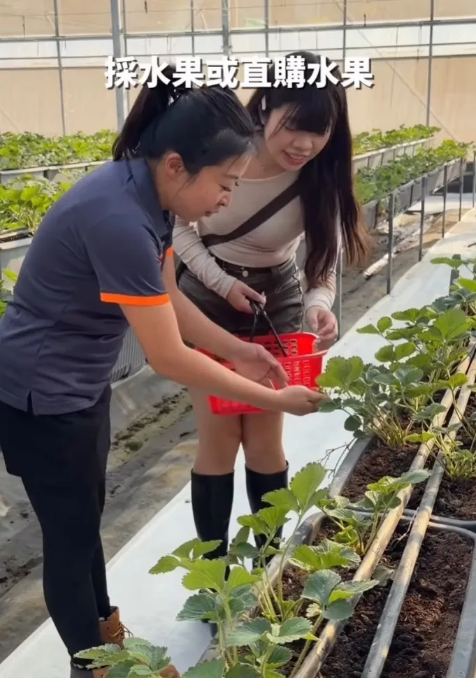 團體機關參訪｜台中觀光果園推薦｜清水觀光果園推薦