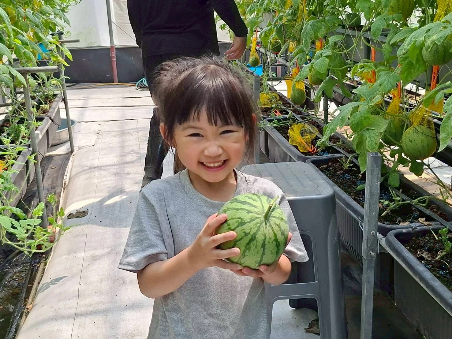 孩子們一起來到 大洧農園
體驗食農教育與採果樂趣
留下甜甜又難忘的回憶 ❤️