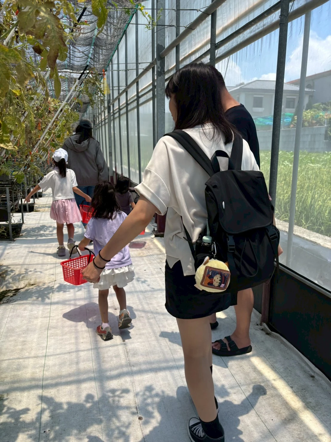 阿露斯洋香瓜採果｜台中洋香瓜果園｜清水洋香瓜果園