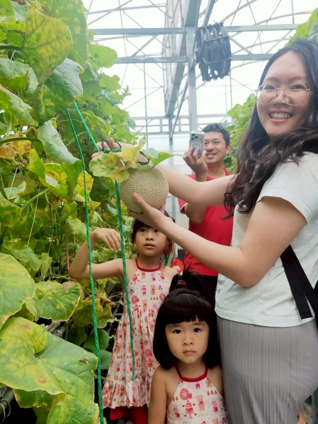 阿露斯洋香瓜採果｜台中洋香瓜果園｜清水洋香瓜果園