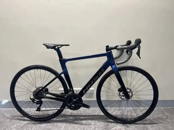 HASA RSX 變色龍 碳纖維空力公路車（碟煞）