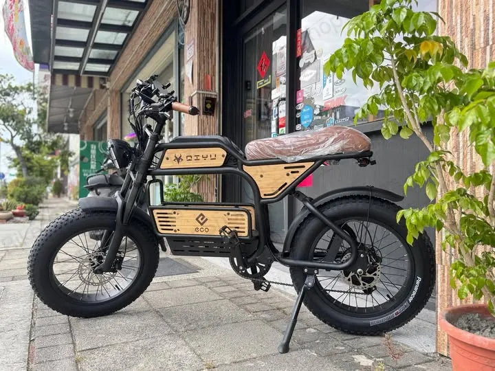 新品推薦~智能電動輔助自行車