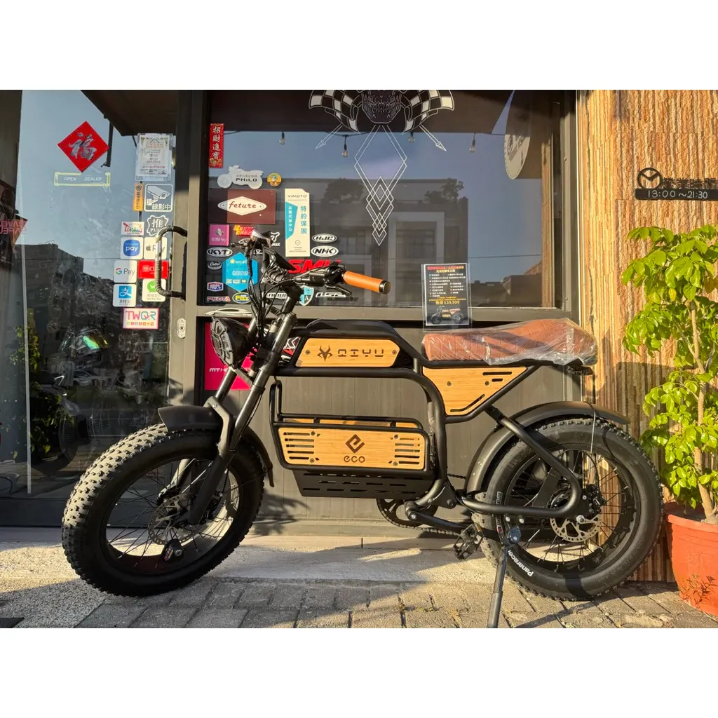 霸王龍X3 智能電動輔助自行車 | 電動自行車 | 電輔車|合格閃電標章|免駕照即可上路