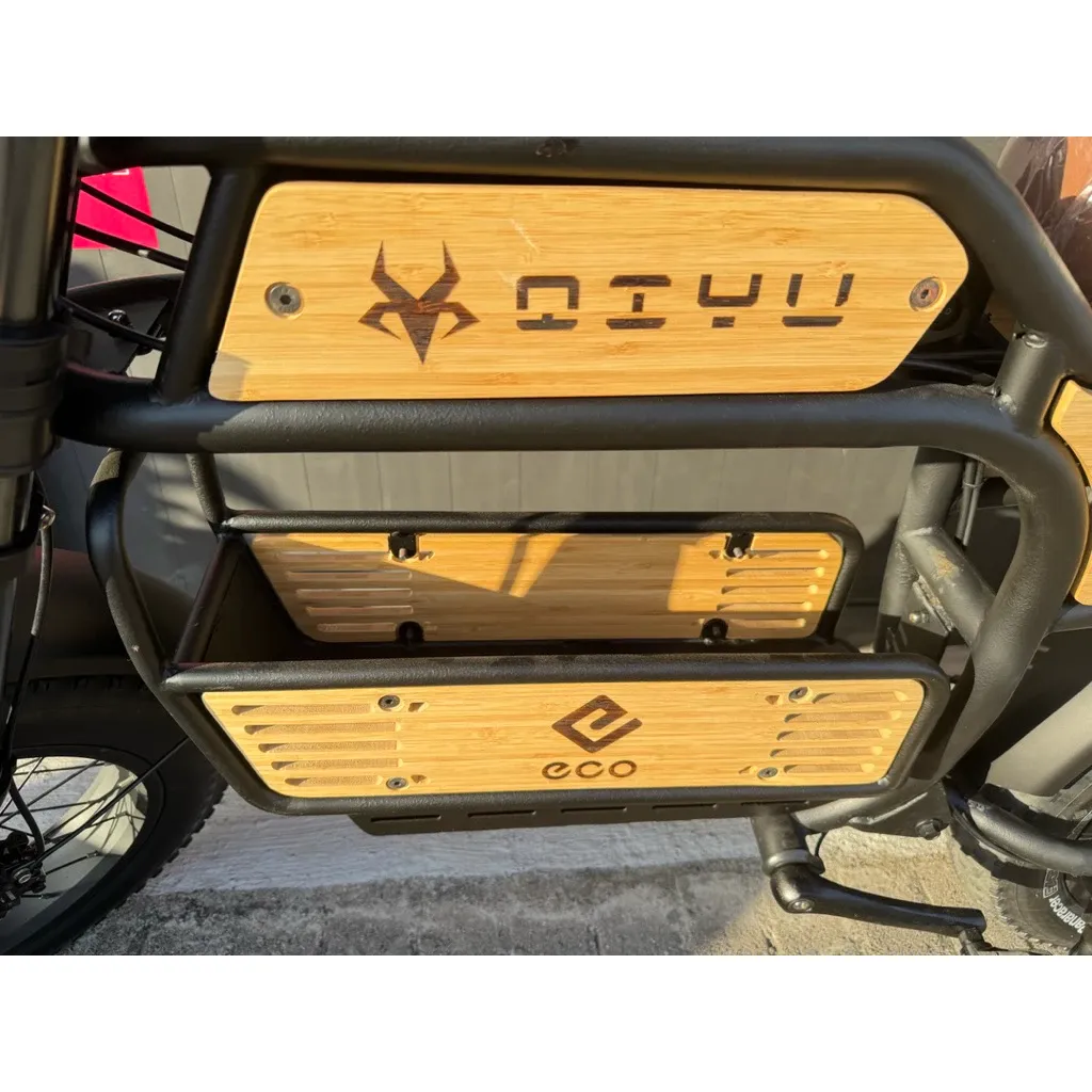 霸王龍X3 智能電動輔助自行車 | 電動自行車 | 電輔車|合格閃電標章|免駕照即可上路