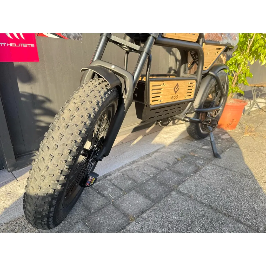 霸王龍X3 智能電動輔助自行車 | 電動自行車 | 電輔車|合格閃電標章|免駕照即可上路