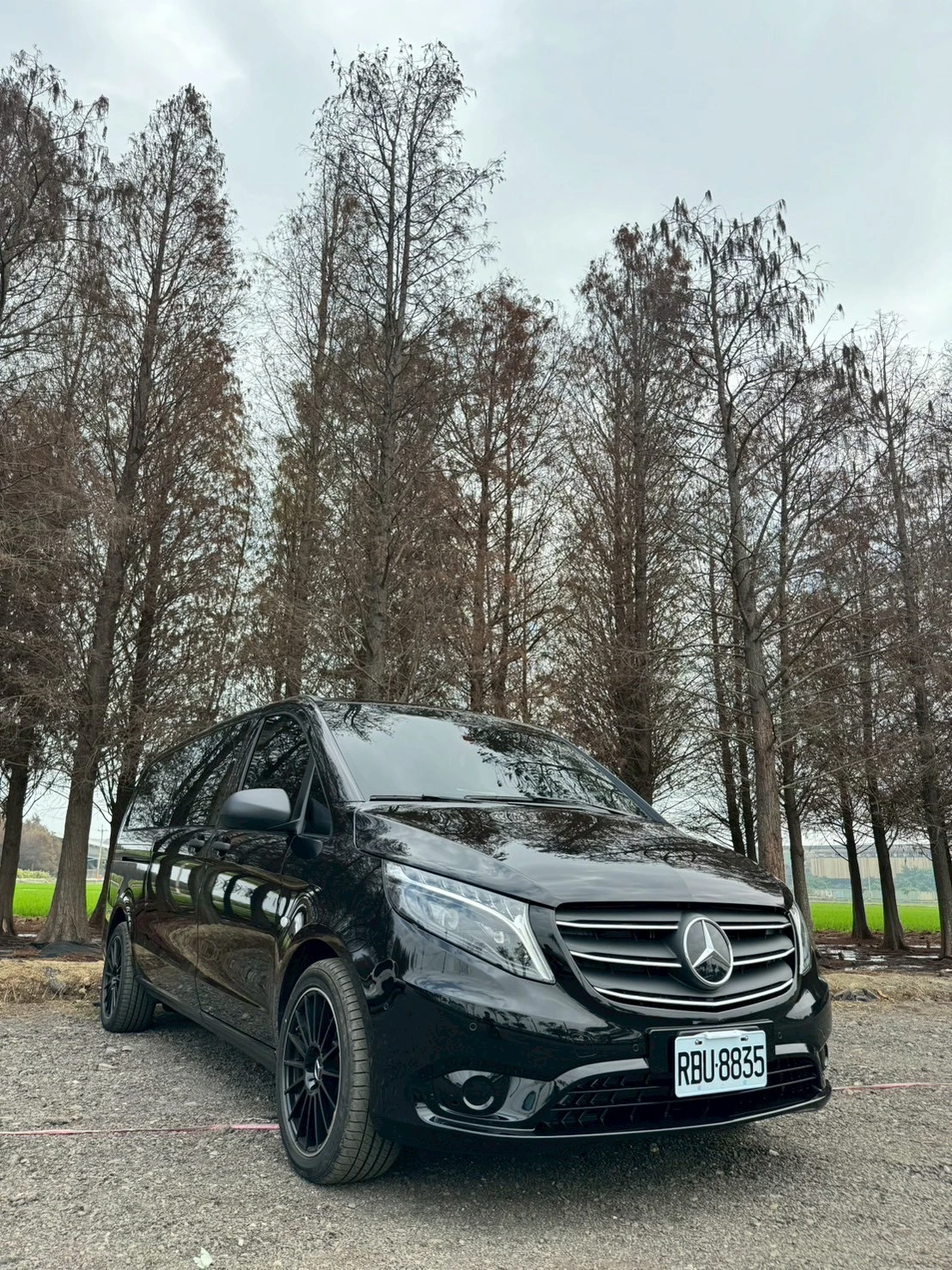 七人座車款2